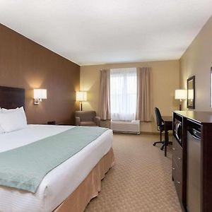 Premium King Room